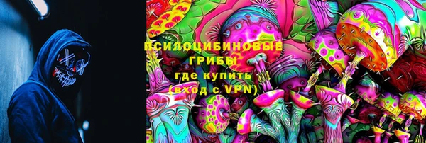 не бодяженный Алексин