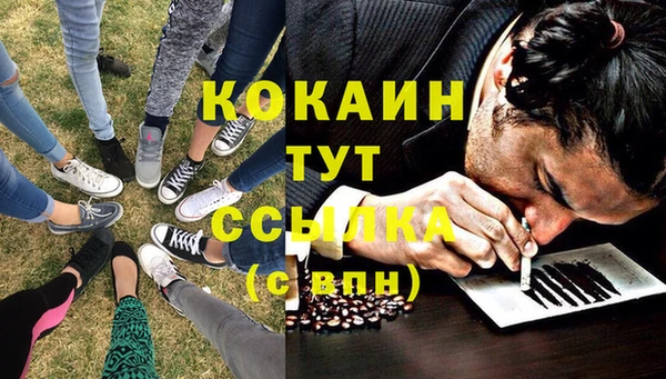 не бодяженный Алексин
