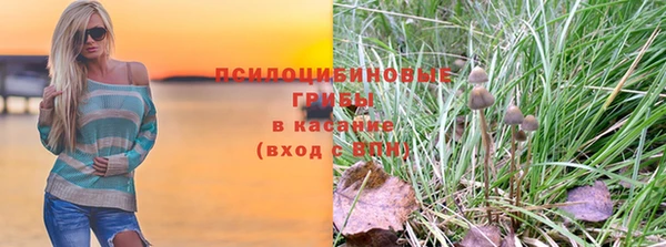 не бодяженный Алексин