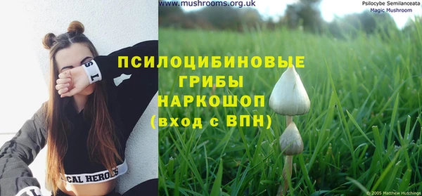 не бодяженный Алексин