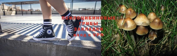 не бодяженный Алексин