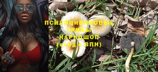 скорость Алзамай