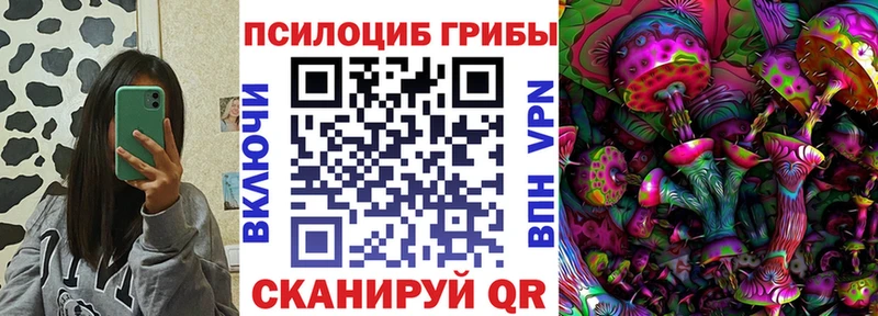 кракен ONION  Алушта  Псилоцибиновые грибы мицелий 