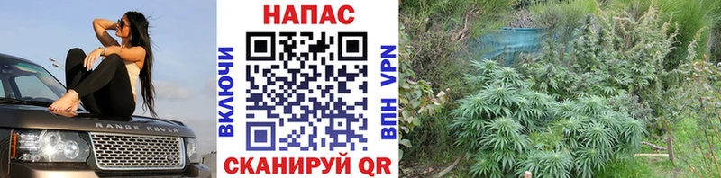Марихуана марихуана  Алушта 